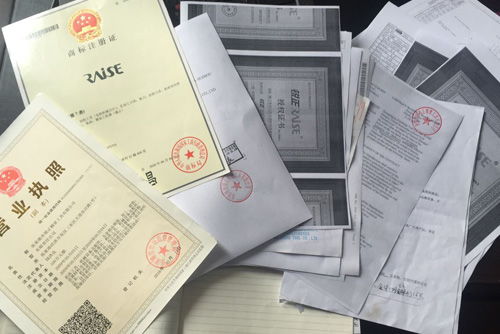 恭贺锐正刀具接受瑞士sgs公司深度认证通过