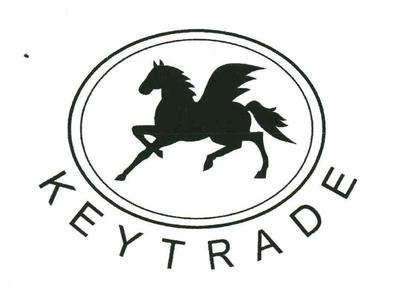 商标文字KEYTRADE、商标申请人瑞士金键国际贸易公司的商标详情 - 标库网官网商标查询