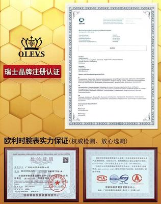 瑞士品牌名表绿水鬼手表男士全自动机械表镂空男表潮