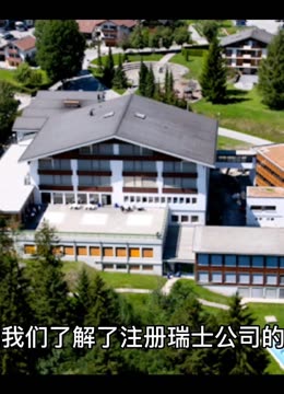 注册瑞士公司要求,办理瑞士公司注册手续费用流程